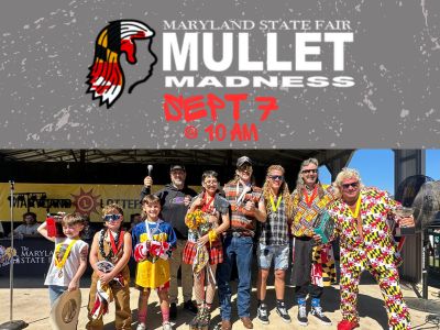 13 Mullet Mobile