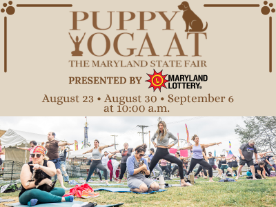 15 Puppy Yoga Mobile 2