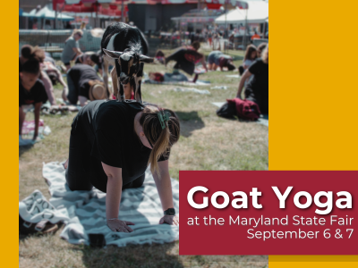 Trading Card Show - Maryland Toy Expo 8 Goat Yoga Mobile