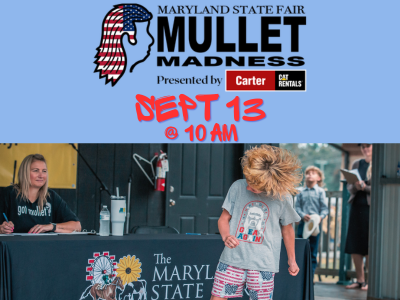 14 Mullet Mobile 2