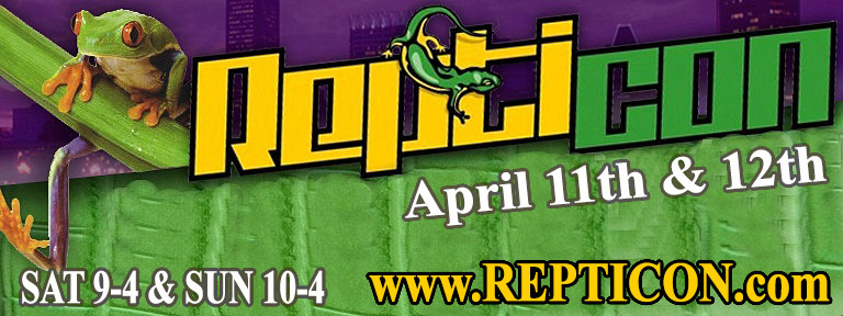 Reptile Apr 26