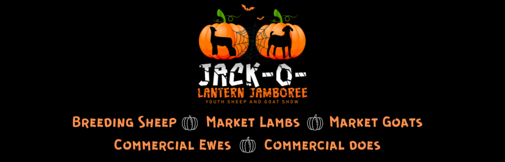 JackOLantern Long