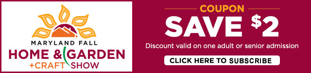 hg coupon