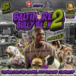 BBB2 Recovered last finalllll