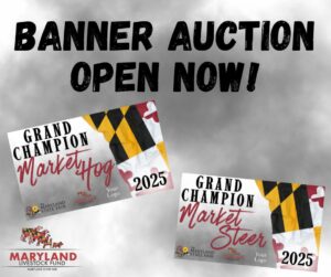 Banner Auction 2025