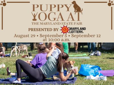 Puppy Yoga Mobile