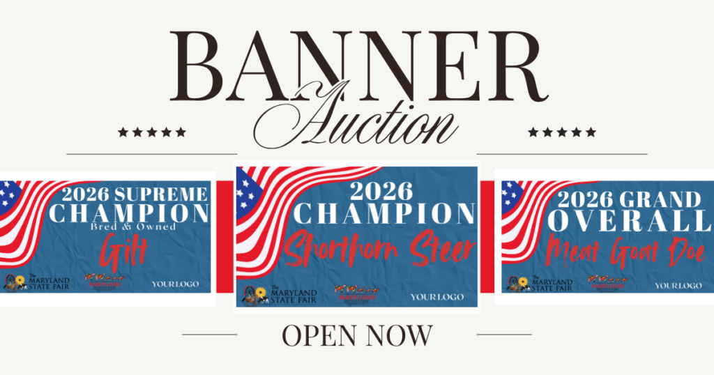 Livestock Fund 2 Banner Auction