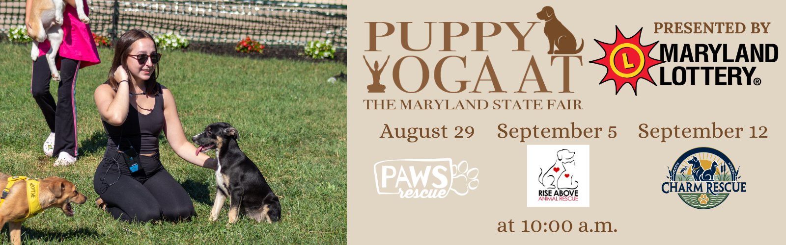 Puppy Yoga Desktop 4