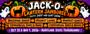 Jack O Lantern 2026